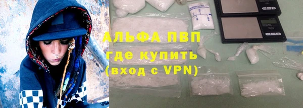 шишки Заволжье