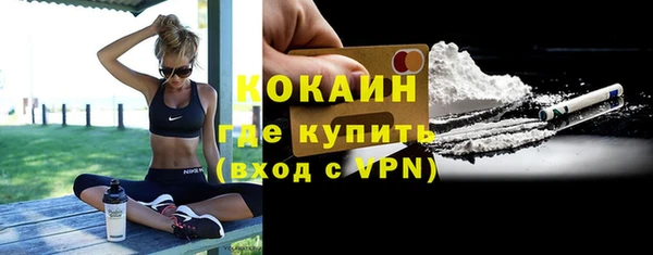 PSILOCYBIN Гусь-Хрустальный