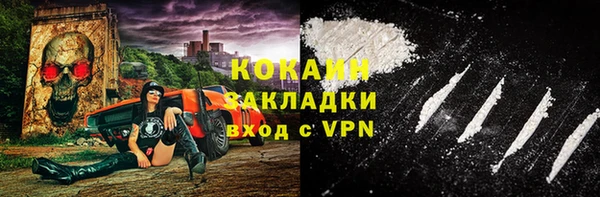 шишки Заволжье