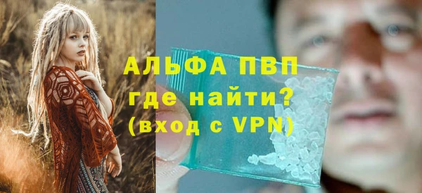 прущие крисы Ельня