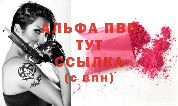 прущие крисы Ельня