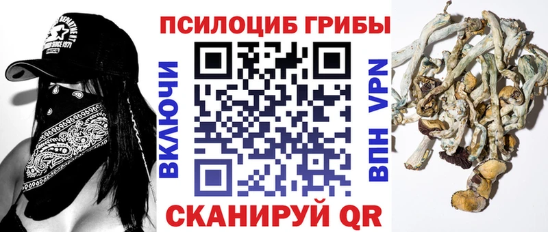 Галлюциногенные грибы Psilocybine cubensis  Купить где  Лобня 